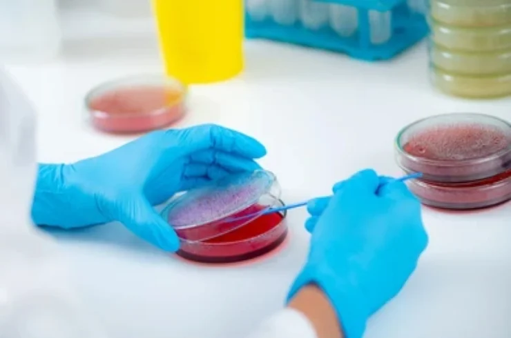 Microbiology-AKSHAYA-HEALTHCARE-Bangalore-karnataka